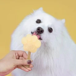 Smoofl Hundeeis Starter Kit 19 Smoofl Hundeeis Starter Kit -Günstiges Bellohaus Geschäft smoofl dog ice starter kit 195155 0500 none