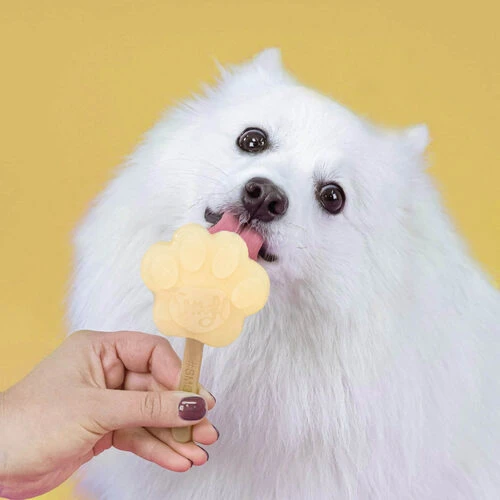 Smoofl Hundeeis Starter Kit 11 Smoofl Hundeeis Starter Kit - Image 9