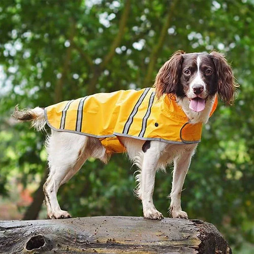 Sötnos Hunderegenmantel 4 Sötnos Hunderegenmantel - Image 2