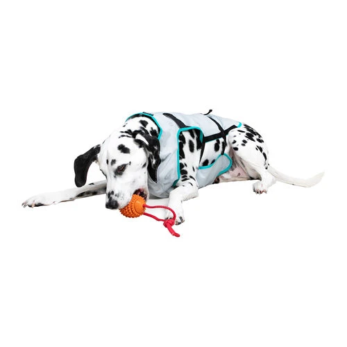 Suitical DRY Cooling Vest 7 Suitical DRY Cooling Vest - Image 5