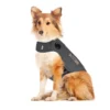 Thundershirt Für Hunde -Günstiges Bellohaus Geschäft thundershirt hond 215942 0500 none