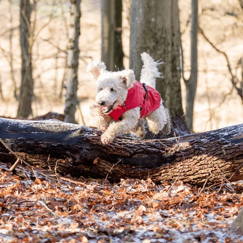 Trixie Regenjacke Vimy 5 Trixie Regenjacke Vimy - Image 3
