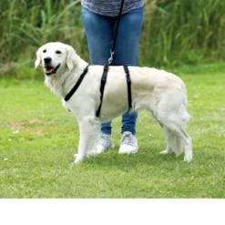 Trixie Stay Sicherheitsgeschirr -Günstiges Bellohaus Geschäft trixie stay hondentuig 95231 0500 none