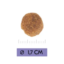 Vetality Adult Maxi - Hundefutter -Günstiges Bellohaus Geschäft vetality adult maxi hondenvoer 213656 0500 none