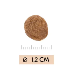 Vetality Gastrointestinal - Hundefutter -Günstiges Bellohaus Geschäft vetality gastrointestinal hondenvoer 195449 0500 none