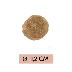 Vetality Gastrointestinal Low Fat - Hundefutter -Günstiges Bellohaus Geschäft vetality gastrointestinal low fat hondenvoer 195467 0500 none