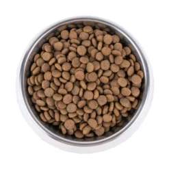 Vetality Hypoallergenic - Hundefutter -Günstiges Bellohaus Geschäft vetality hypoallergenic hondenvoer 195278 0500 none