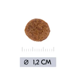 Vetality Hypoallergenic - Hundefutter -Günstiges Bellohaus Geschäft vetality hypoallergenic hondenvoer 195473 0500 none