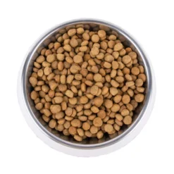 Vetality Metabolic & Mobility - Hundefutter -Günstiges Bellohaus Geschäft vetality metabolic mobility hondenvoer 195275 0500 none