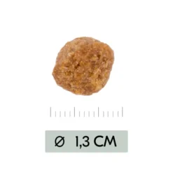 Vetality Metabolic & Mobility - Hundefutter -Günstiges Bellohaus Geschäft vetality metabolic mobility hondenvoer 195470 0500 none