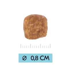 Vetality Puppy Medium - Hundefutter -Günstiges Bellohaus Geschäft vetality puppy medium hondenvoer 213674 0500 none