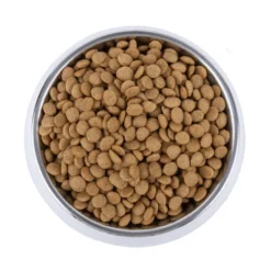 Vetality Skin Support - Hundefutter 9 Vetality Skin Support - Hundefutter -Günstiges Bellohaus Geschäft vetality skin support hondenvoer 195221 0500 none