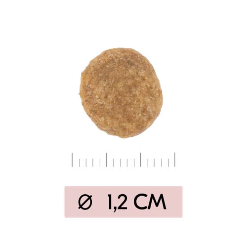 Vetality Skin Support - Hundefutter 5 Vetality Skin Support - Hundefutter - Image 3