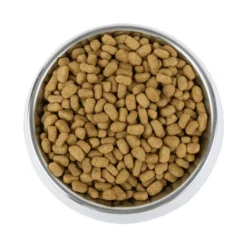 Vetality Weight Management - Hundefutter 9 Vetality Weight Management - Hundefutter -Günstiges Bellohaus Geschäft vetality weight management hondenvoer 195227 0500 none