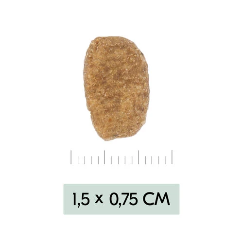 Vetality Weight Management - Hundefutter 5 Vetality Weight Management - Hundefutter - Image 3