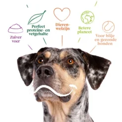 Yarrah - Bio Trockenfutter Vega Getreidefrei 9 Yarrah - Bio Trockenfutter Vega Getreidefrei -Günstiges Bellohaus Geschäft yarrah bio droogvoer hond vega graanvrij 201212 0500 none