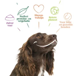 Yarrah - Hundefutter In Soße Vega Mit Hagebutten Bio -Günstiges Bellohaus Geschäft yarrah bio natvoer hond kuipje chunks vega 200843 0500 none