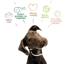 Yarrah - Getreidefreies Trockenfutter Bio -Günstiges Bellohaus Geschäft yarrah droogvoer hond graanvrij bio 201170 0500 none