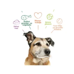 Yarrah - Trockenfutter Senior Mit Huhn, Fisch Und Kräutern Bio 9 Yarrah - Trockenfutter Senior Mit Huhn, Fisch Und Kräutern Bio -Günstiges Bellohaus Geschäft yarrah droogvoer hond senior bio 201146 0500 none