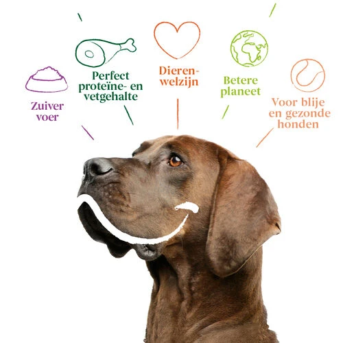 Yarrah - Trockenfutter Sensitiv Mit Huhn Und Reis Bio 5 Yarrah - Trockenfutter Sensitiv Mit Huhn Und Reis Bio - Image 3