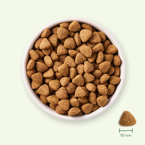 Yarrah - Trockenfutter Vegetarisch Bio 4 Yarrah - Trockenfutter Vegetarisch Bio - Image 2