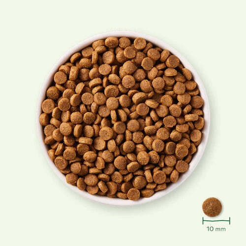 Yarrah - Trockenfutter Für Welpen Mit Huhn Bio 5 Yarrah - Trockenfutter Für Welpen Mit Huhn Bio - Image 3