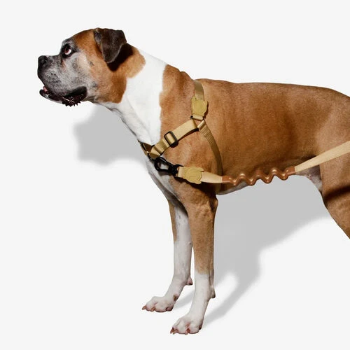 Zee.Dog Soft Walk Harness 9 Zee.Dog Soft Walk Harness - Image 7