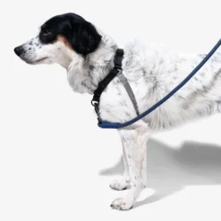 Zee.Dog Soft Walk Harness 19 Zee.Dog Soft Walk Harness -Günstiges Bellohaus Geschäft zeedog soft walk harness 200684 0500 none