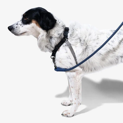 Zee.Dog Soft Walk Harness 11 Zee.Dog Soft Walk Harness - Image 9