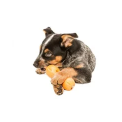 Zogoflex Qwizl 9 Zogoflex Qwizl -Günstiges Bellohaus Geschäft zogoflex qwizl 136852 0500 none