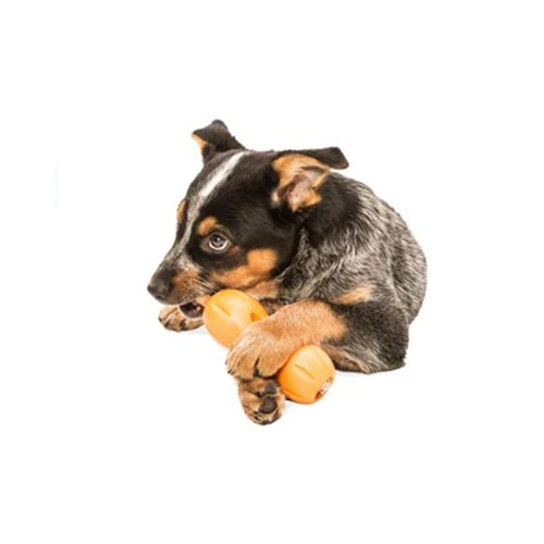 Zogoflex Qwizl 5 Zogoflex Qwizl - Image 3