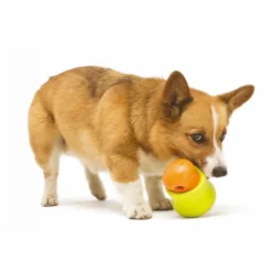 Zogoflex Toppl - Treat Toy -Günstiges Bellohaus Geschäft zogoflex toppl treat toy 219464 0500 none